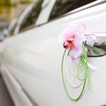 Hochzeitsauto und Co: Den richtigen fahrbaren Untersatz finden
